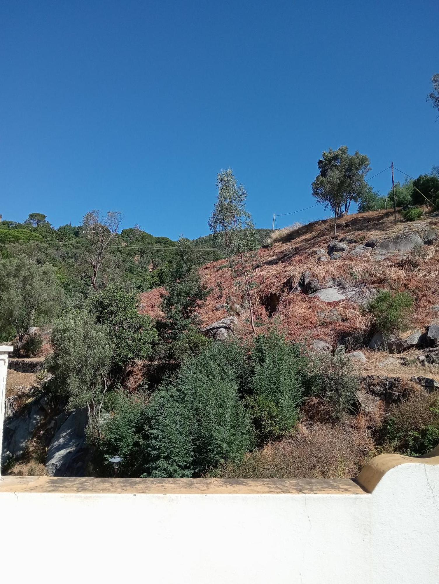 Albergaria Do Lageado Monchique Dış mekan fotoğraf