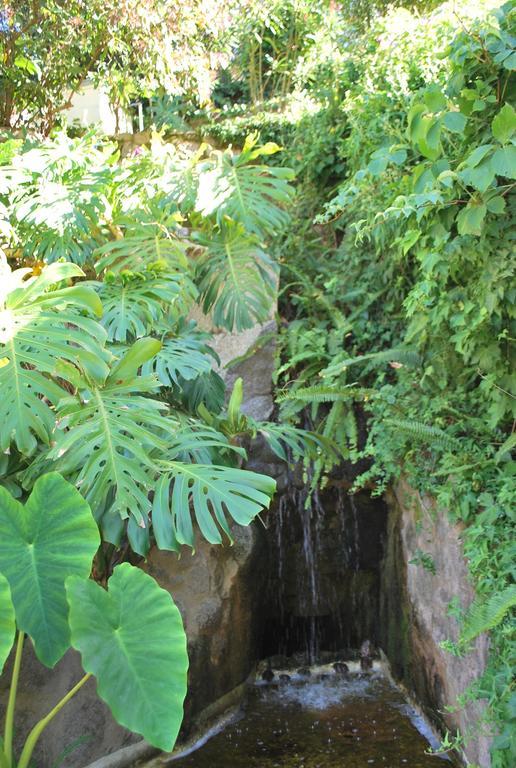 Albergaria Do Lageado Monchique Dış mekan fotoğraf